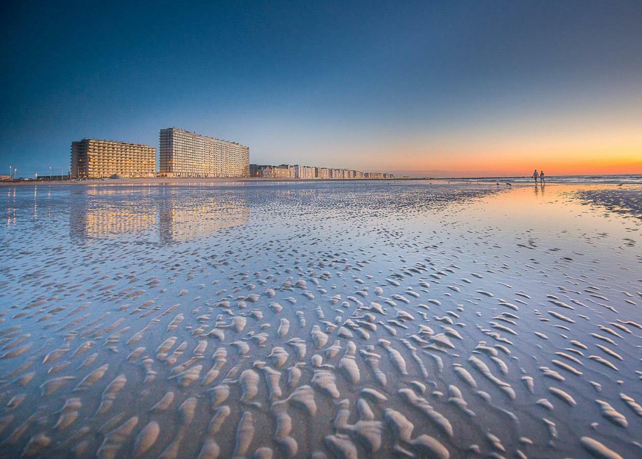 Ostend Studio Buitenkant foto